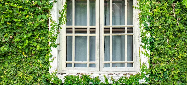 Garden Window Repair Near Me in Palmetto Bay, FL